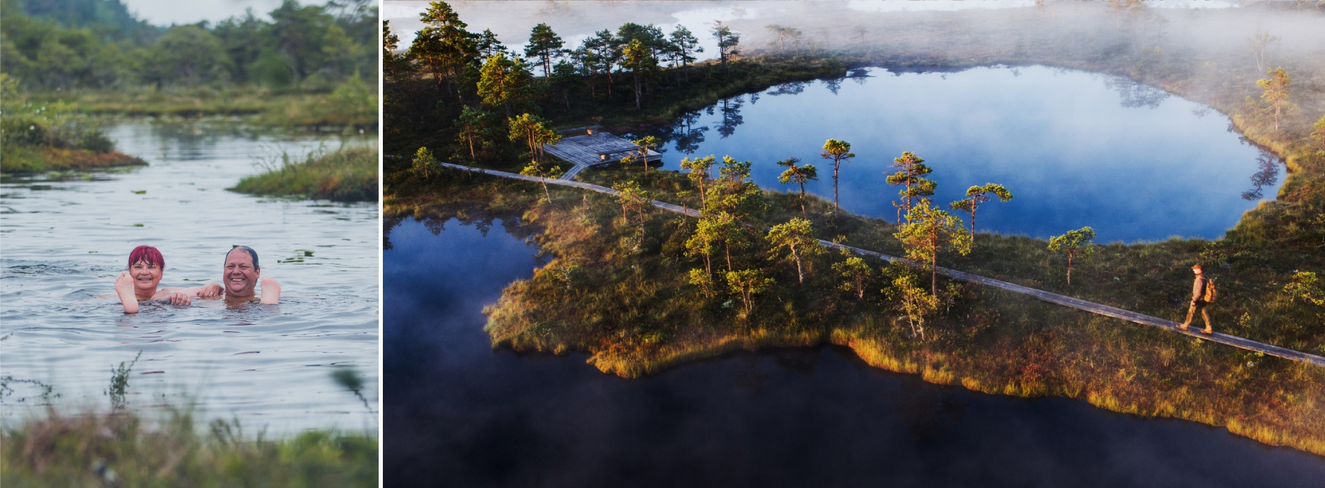 Europa Estland Moor Natur 