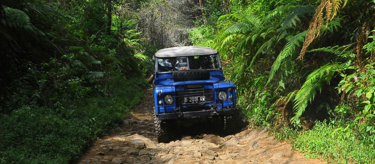 Mietwagen im Dschungel Costa Ricas