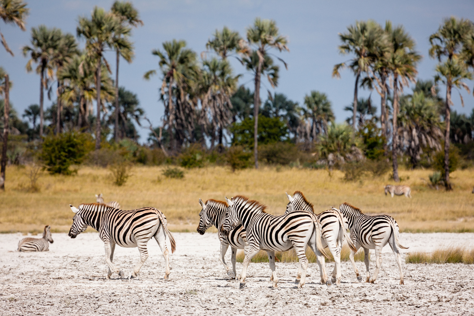 Beste Reisezeit Botswana - Makgadikgadi-Salzpfannen