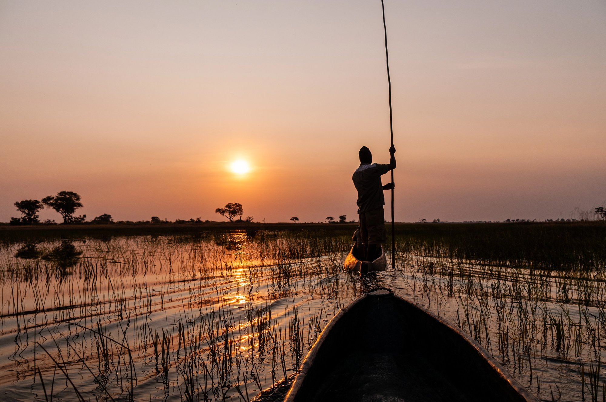 Beste Reisezeit Botswana - Okavango-Delta