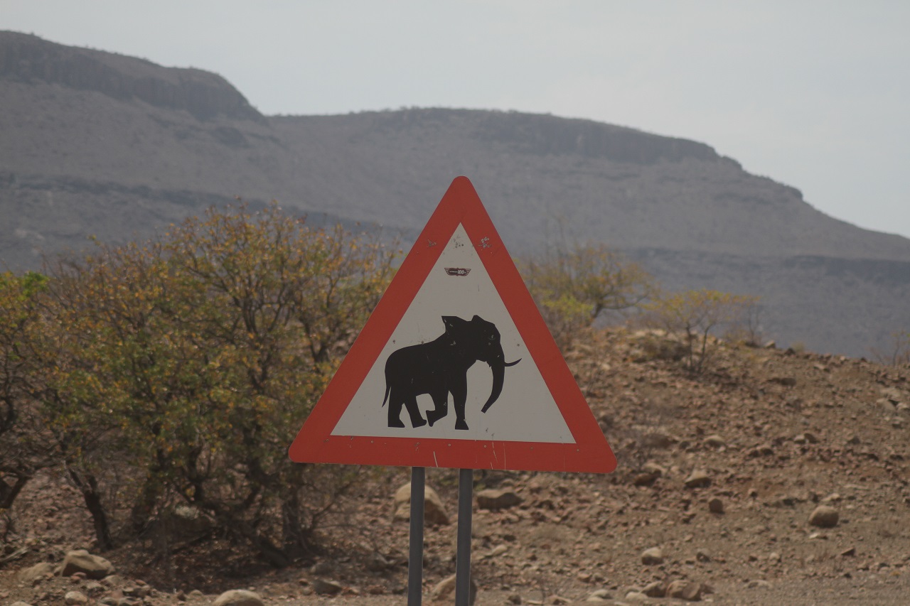 Verkehrsschild, dass vor Elefanten warnt