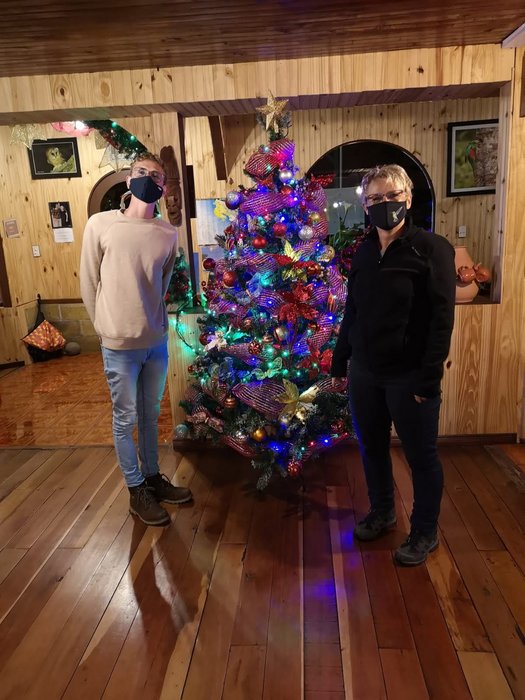 Weihnachten in Costa Rica mit geschmücktem Baum.