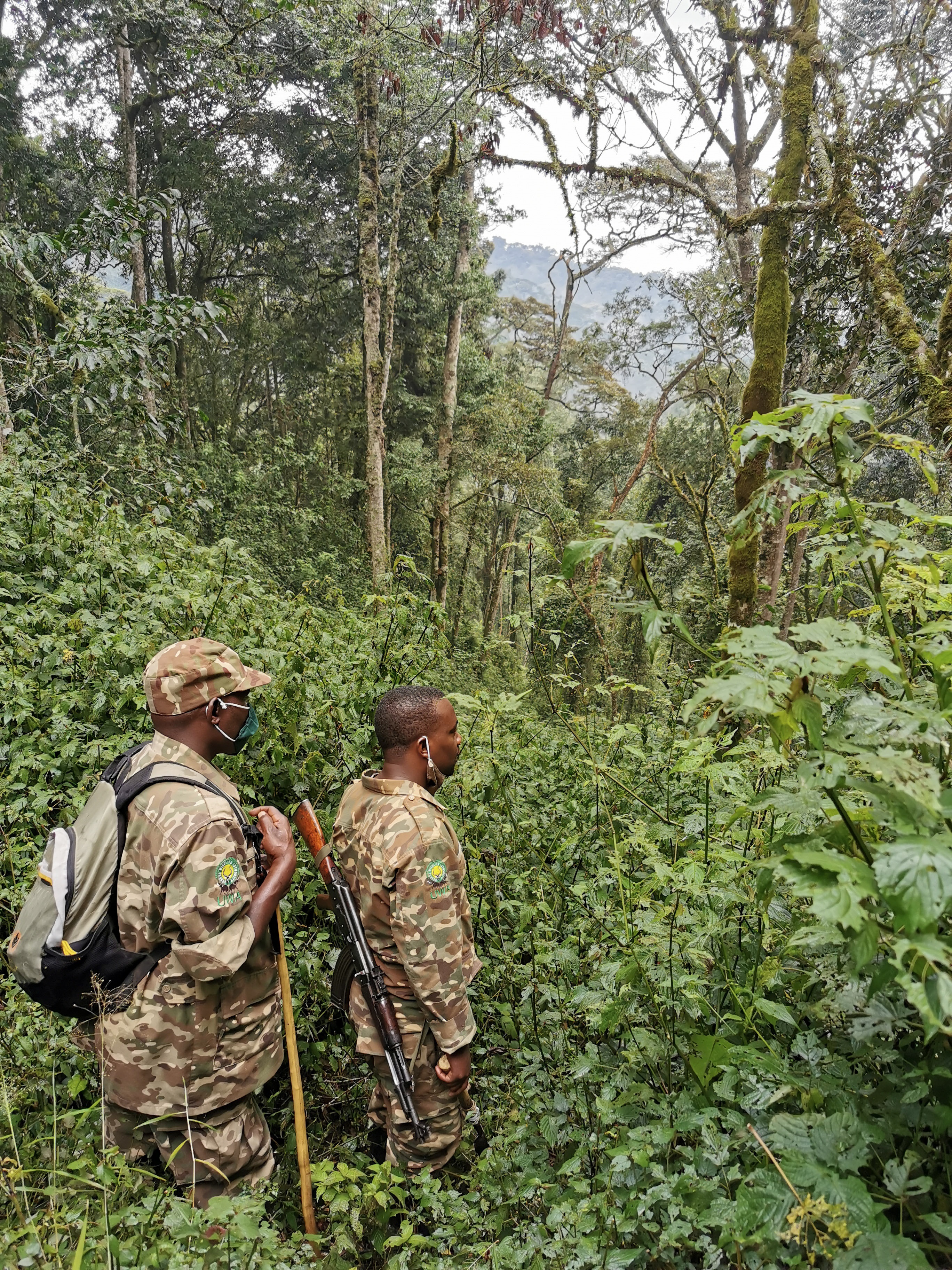 Uganda Bwindi Nationalpark Ranger Ranger im Bwindi Nationalpark auf dem Weg zu den Gorillas.