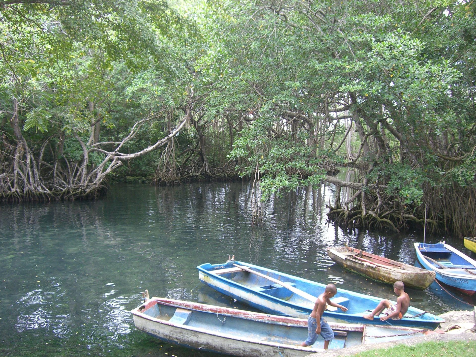 Dominikanische Republik Natur