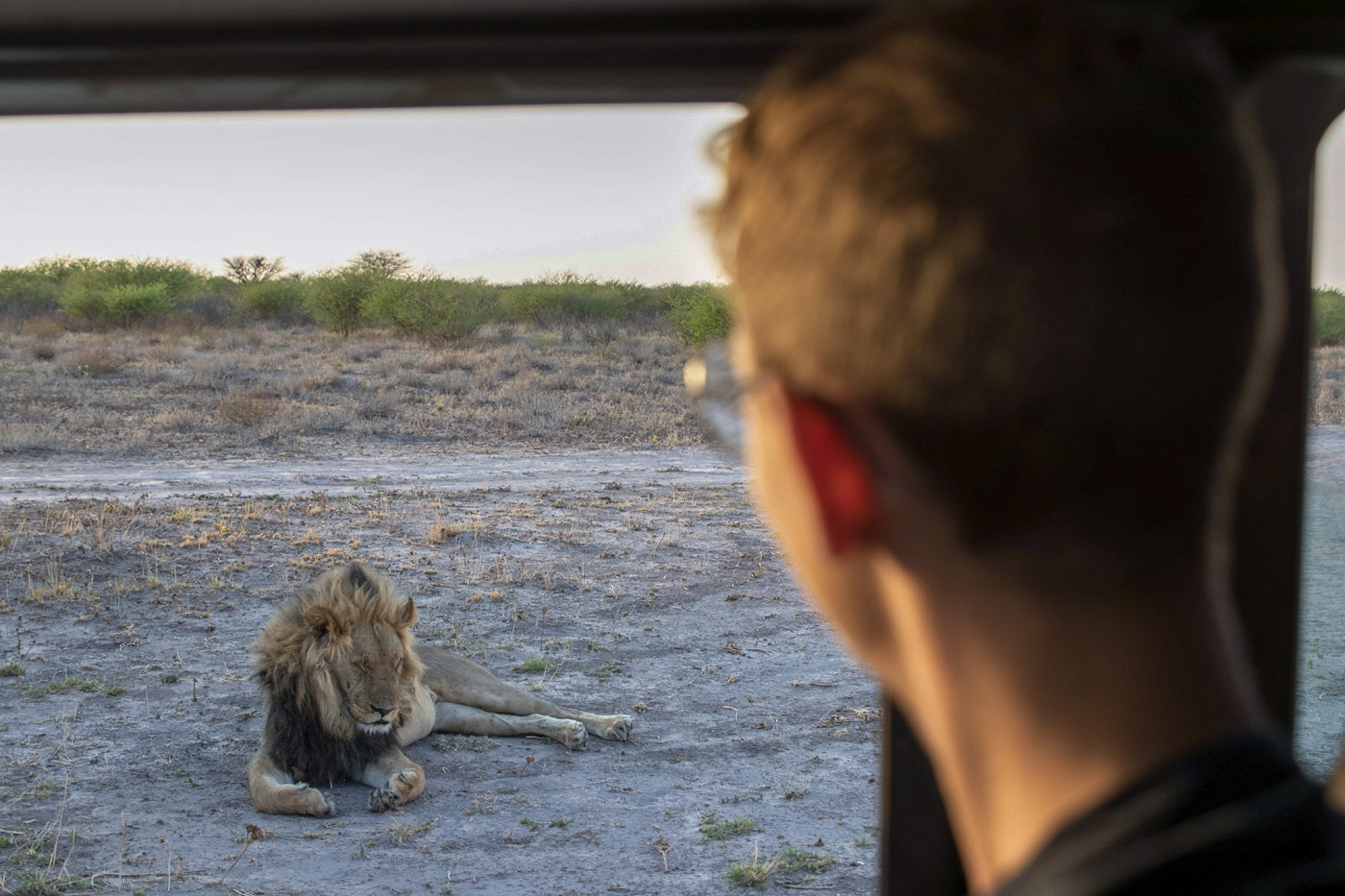 Beste Reisezeit Botswana für Familien