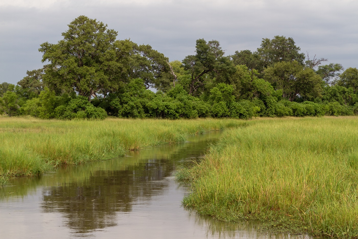 Beste Reisezeit Botswana für Budget-Reisen