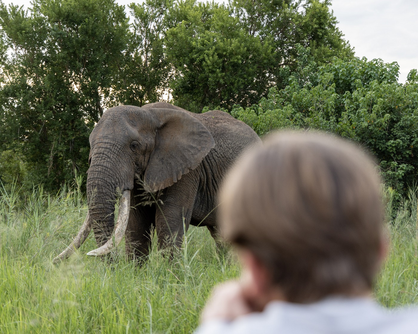 Familienreise Südafrika - Beste Reisezeit Südafrika