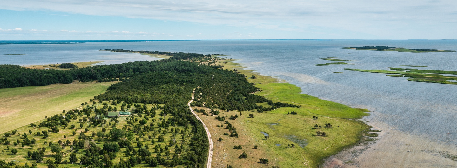 Europa Estland Inseln von oben Natur Wald Kueste