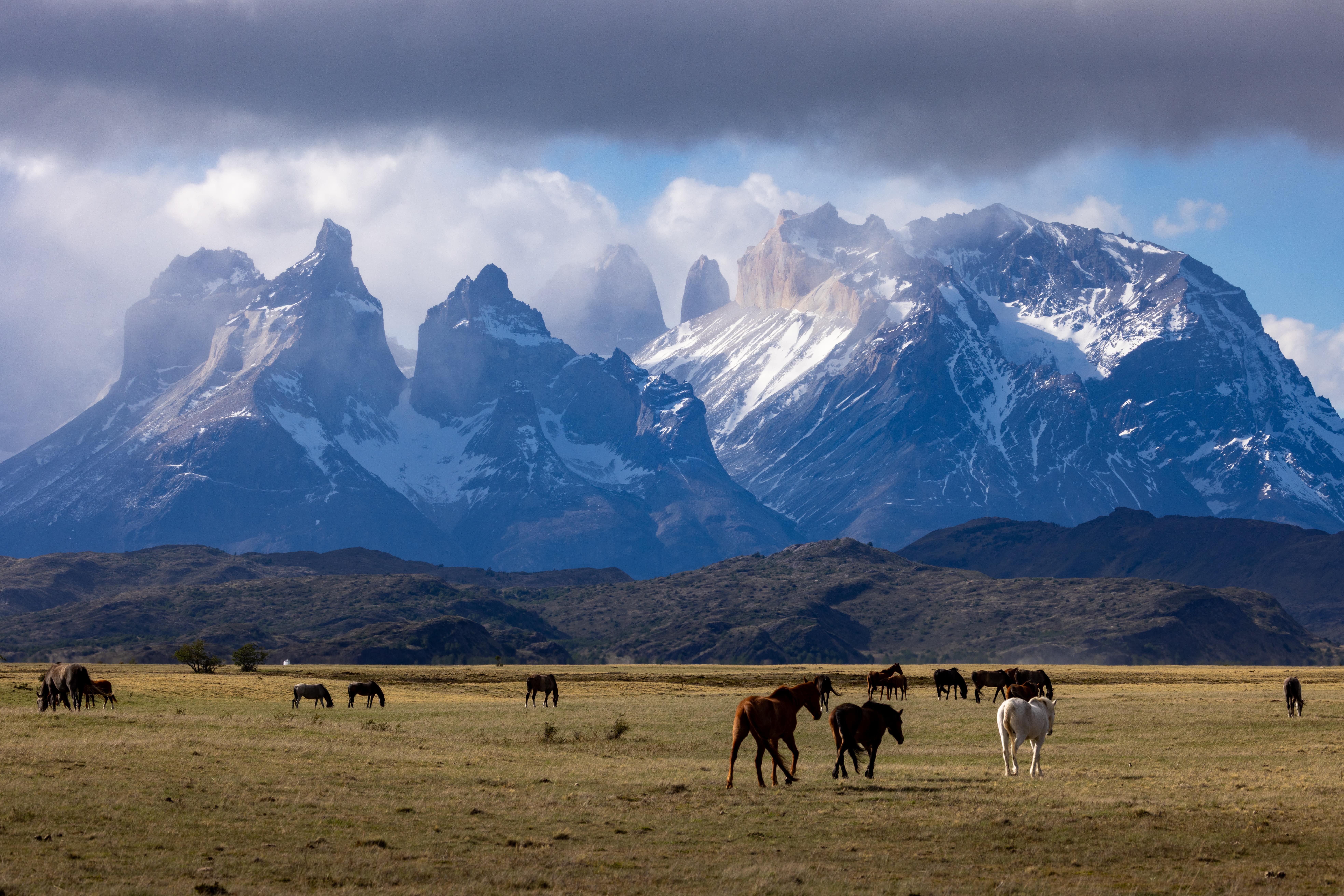 Chile Patagonien Landschaft