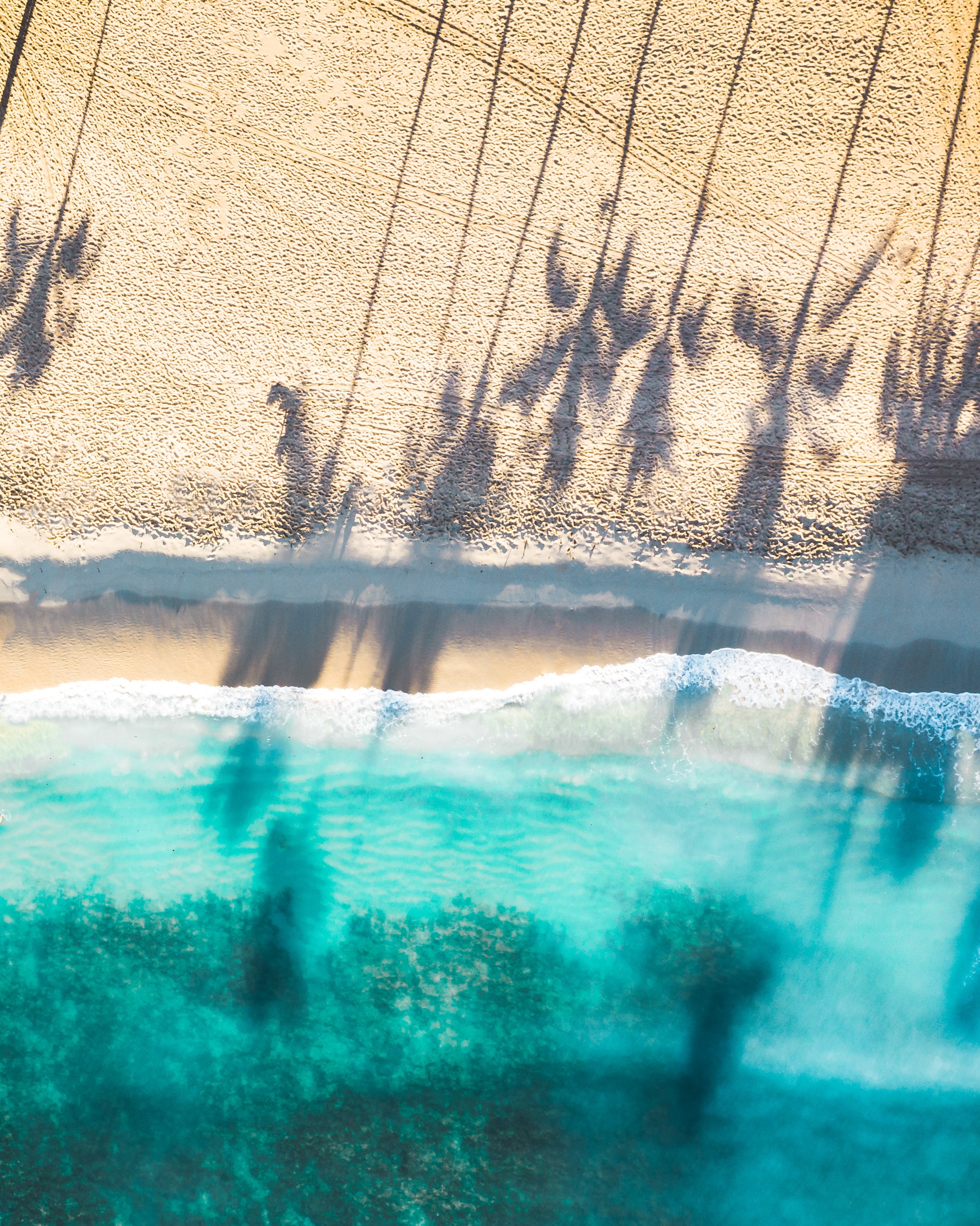 Strand und Meer von oben und Schatten von Palmen