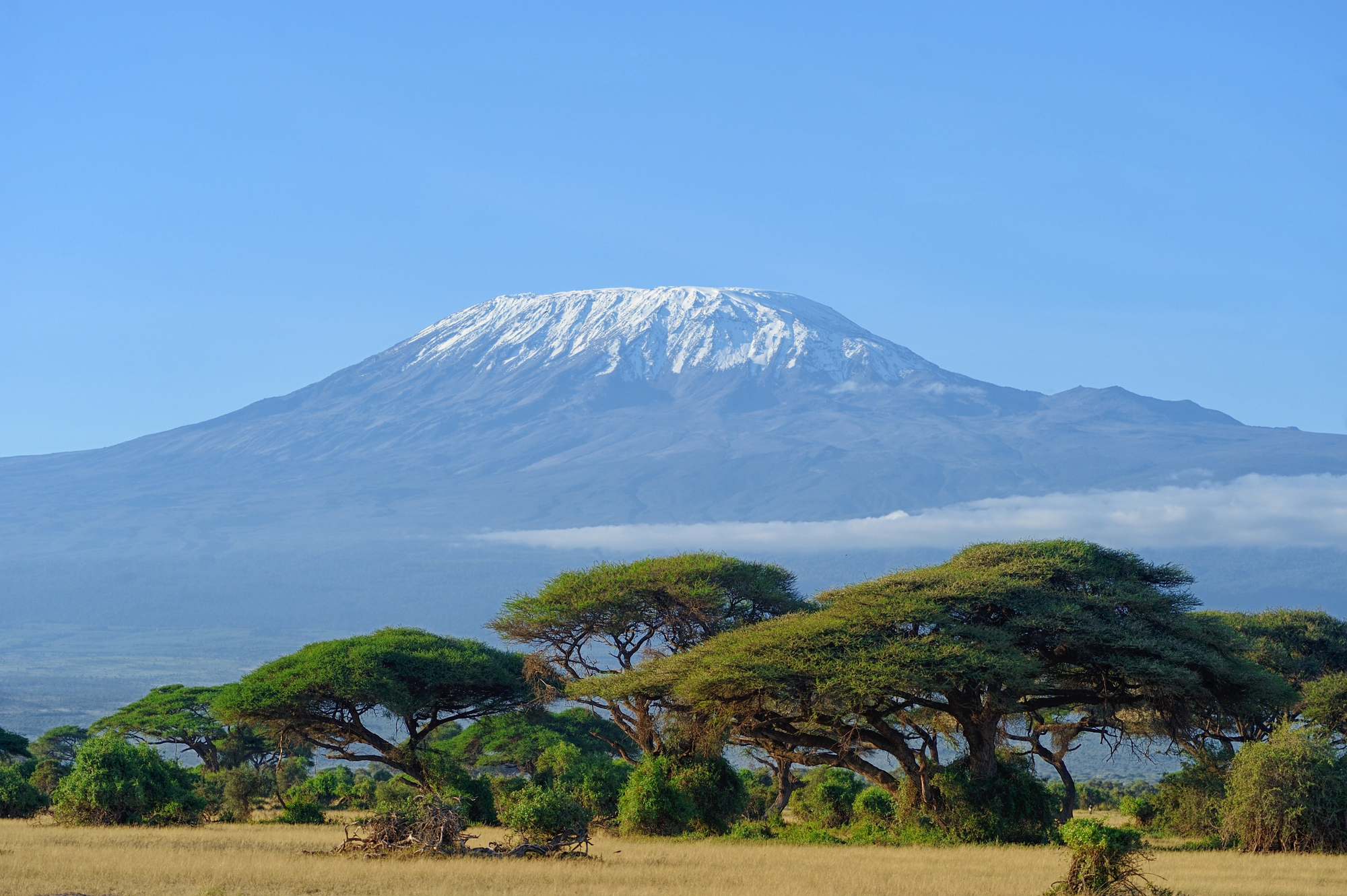 Kilimandscharo