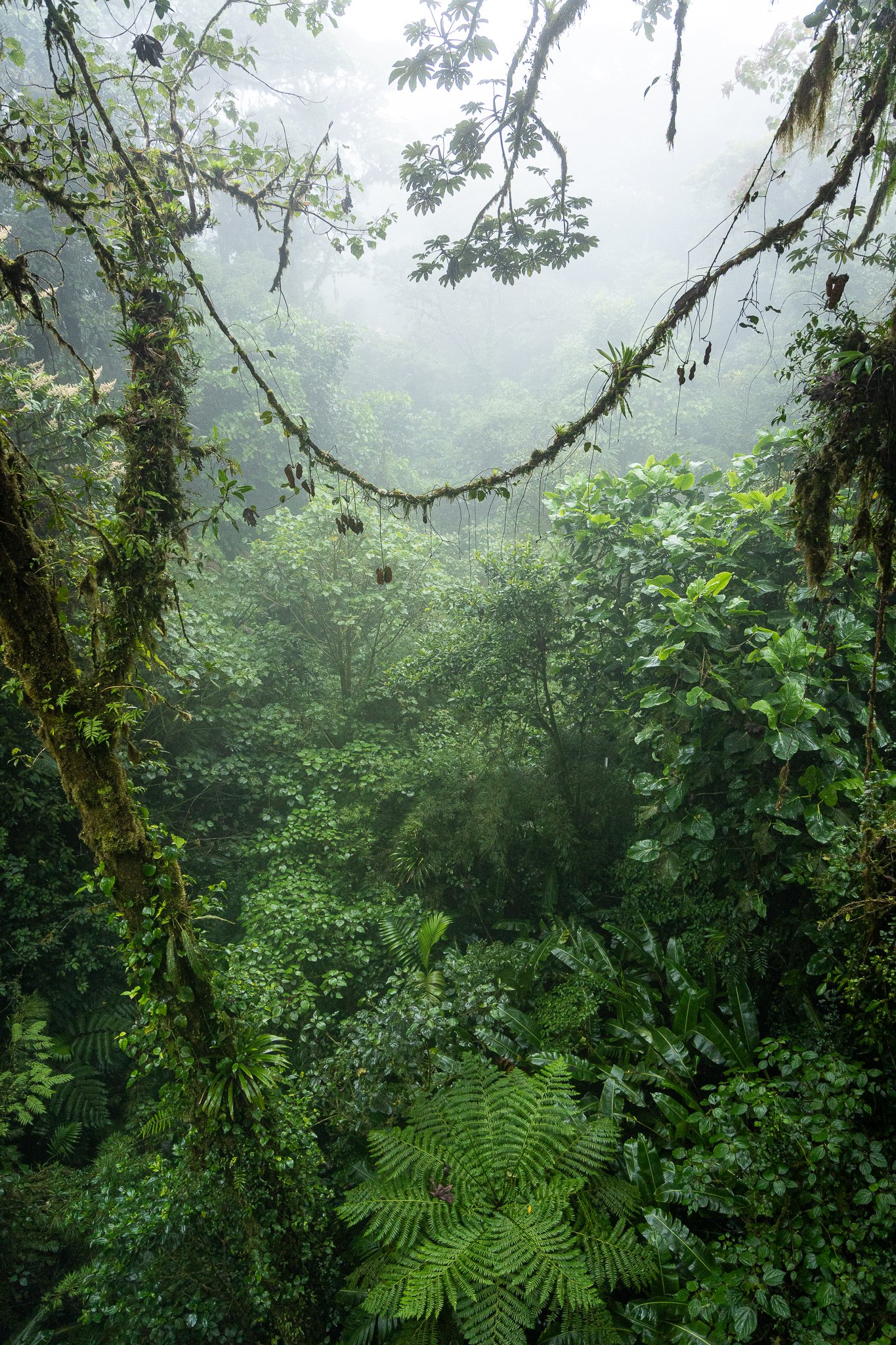 Portrait von Hannah Assil in der Natur
