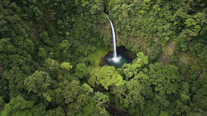 Wasserfall von oben fotogarfiert umgeben von dichtem Regenwald
