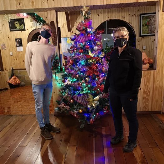 Weihnachten in Costa Rica mit geschmücktem Baum.