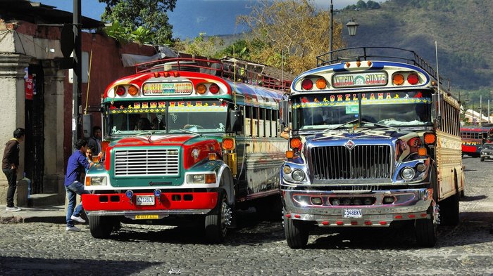 Zwei typisch bunte Busse warten an einer Haltestelle in Guatemala.