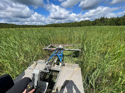Schilfmäher in dichter Vegetation