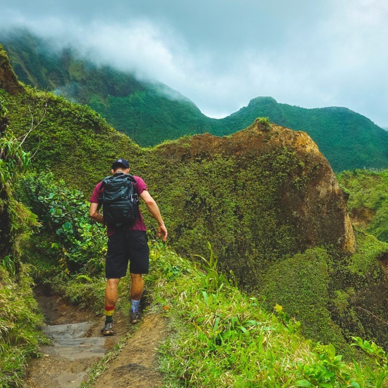 Mann wandert in sattgrüner Landschaft 