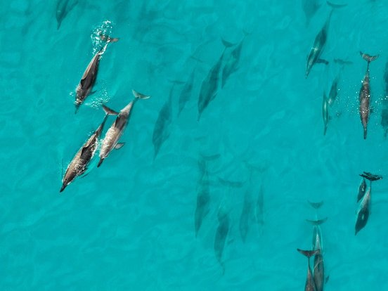 Costa Rica Reise Drake Bay