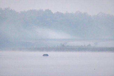 Ein Panzernashorn überquert einen flachen Fluss. Im Hintergrund ist eine Brücke zu sehen