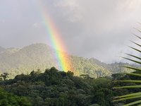 Regenbogen im Regenwald
