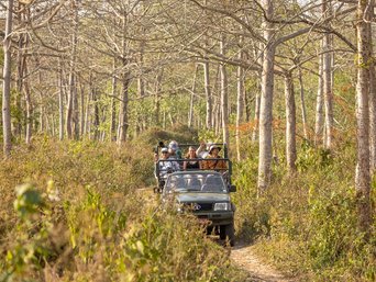 Safarijeep in Nepal