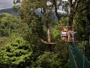 Menschen auf einer Canopy Plattform im Regenwald von Monteverde.