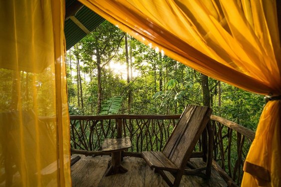 Durch einen orangenen Vorhang der La Tigra Rainforest Lodge fällt Sonnenlicht und gibt den Blick in den Regenwald frei