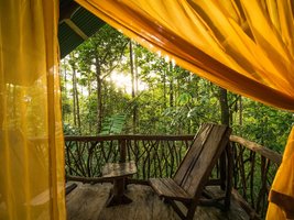 Durch einen orangenen Vorhang der La Tigra Rainforest Lodge fällt Sonnenlicht und gibt den Blick in den Regenwald frei