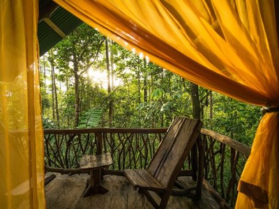 Durch einen orangenen Vorhang der La Tigra Rainforest Lodge fällt Sonnenlicht und gibt den Blick in den Regenwald frei