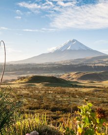Schneebedeckter Cotopaxi