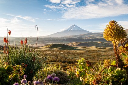Ecuador Hochland Cotopaxi Schneebedeckter Cotopaxi