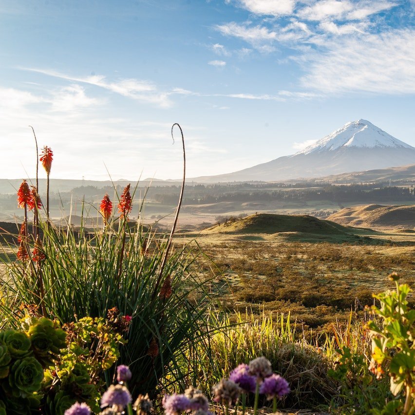 Schneebedeckter Cotopaxi