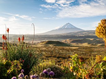 Schneebedeckter Cotopaxi