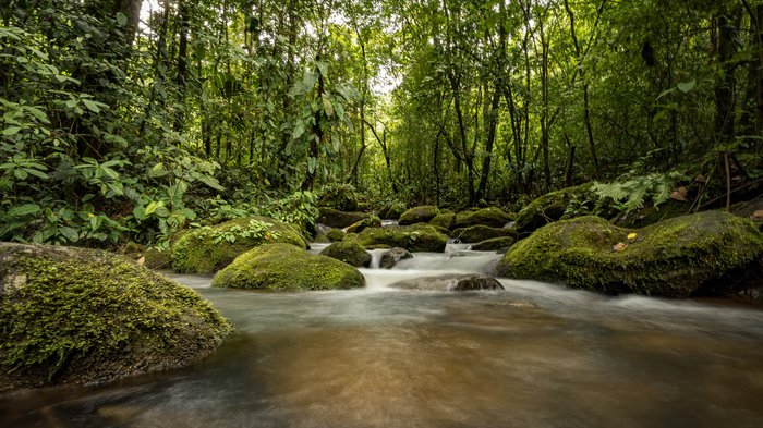 Ein kleiner Fluss in der Nähe von La Tigra.