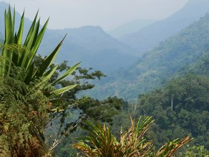 Trekking zur Ciudad Perdida