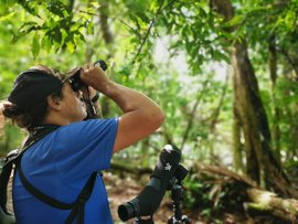 Guide sucht nach Tieren mit dem Fernglas