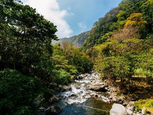 Wilder Flusslauf in Panama