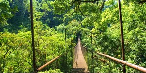 Hängebrücke im Regenwald in der Region Boquete,Panama