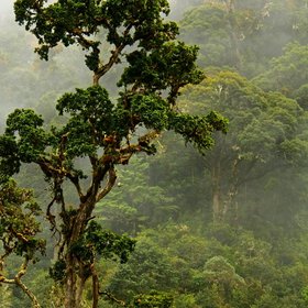 Monteverde - Costa Rica