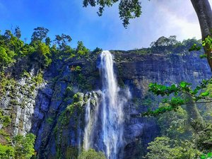 Ein Wasserfall in Sri Lankas Nationalparks