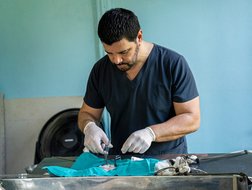 Costa Rica Tierklinik Tortuguero