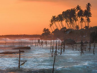 Palmen und Sonnenuntergang am Strand