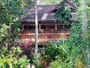 Gebäude und Pflanzen im Basis-Projekt