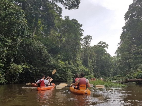 Kayak fahren Tortuguero Costa Rica Menschen fahren Kayak auf Fluss in Costa Rica