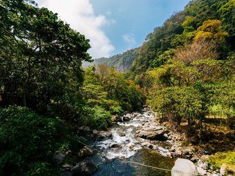 Wilder Flusslauf in Panama