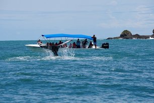 Menschen auf einem Boot beobachten einen Wal