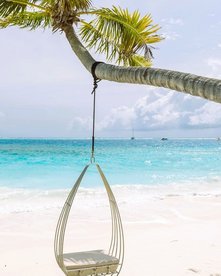 Hängestuhl an einer Palme am Strand