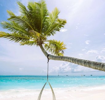 Hängestuhl an einer Palme am Strand