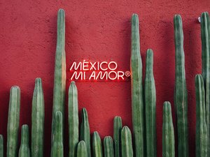 México mi Amor Schriftzug auf einer roten Wand