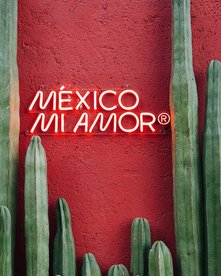 México mi Amor Schriftzug auf einer roten Wand